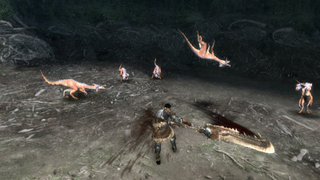 Illustration for article titled Here's What Monster Hunter Tri Looks Like